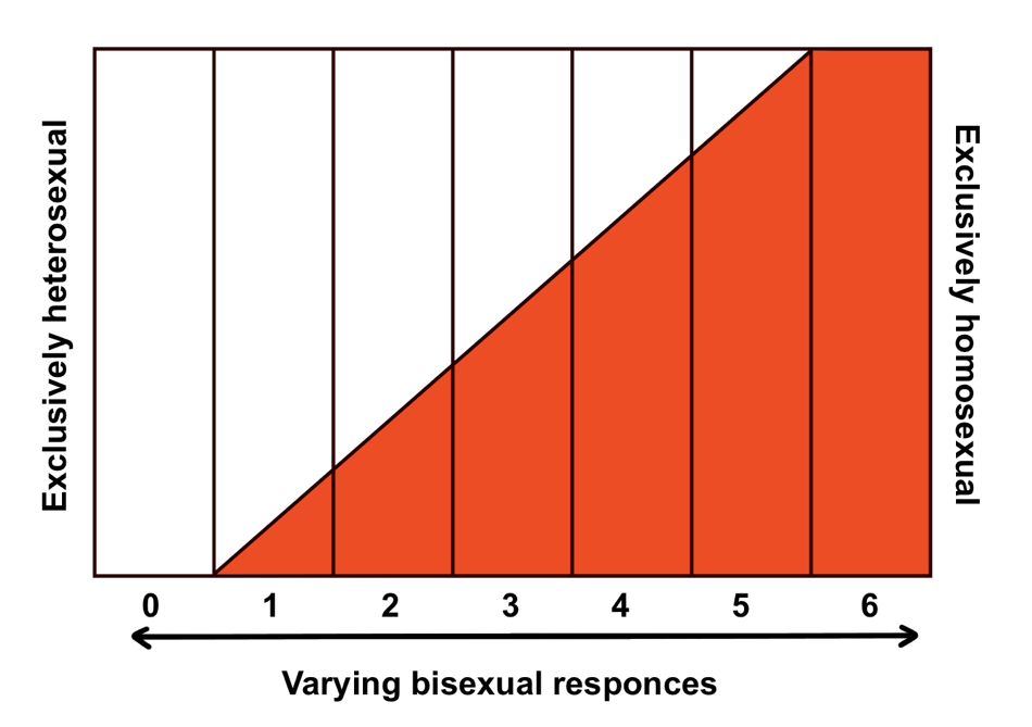 official kinsey scale test