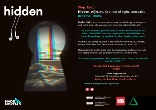 Hidden Adam's Story Flyer